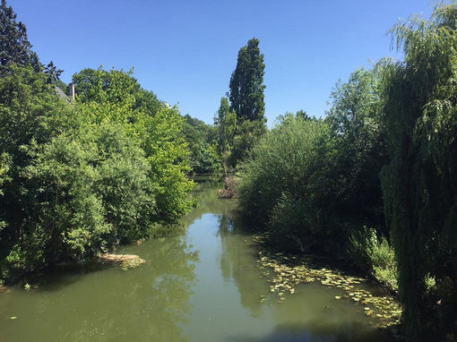 Villeneuve-Saint-Georges Renaturation des berges de l’Yerres